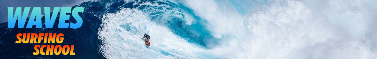 WAVES Banner