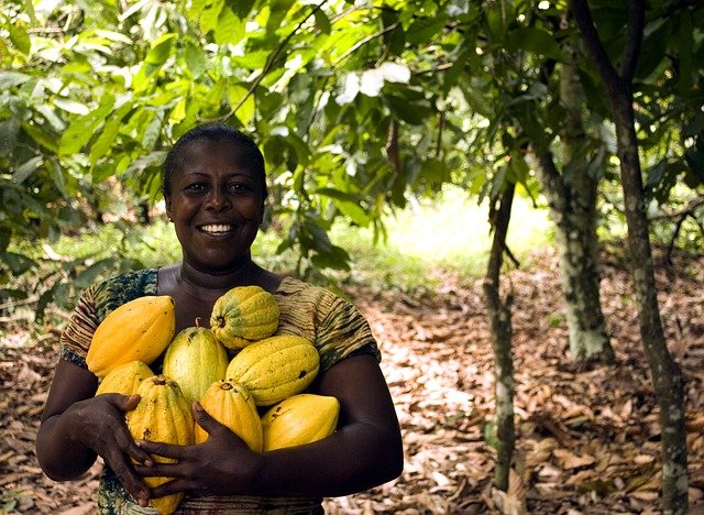 woman holding cacoa fruit