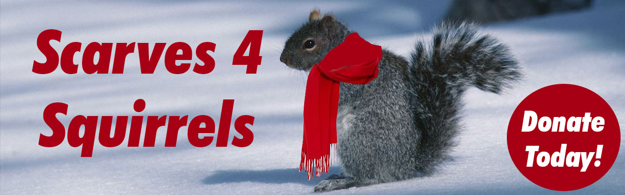 donation page banner image