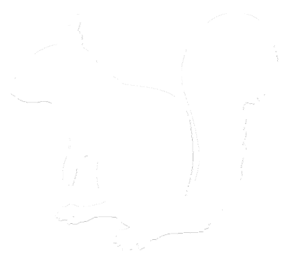 squirrel image