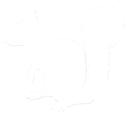 squirrel image